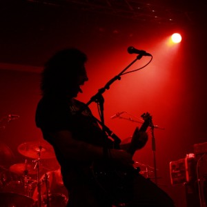 msd_2009