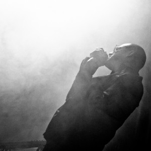 zno_vs_stupre_2011